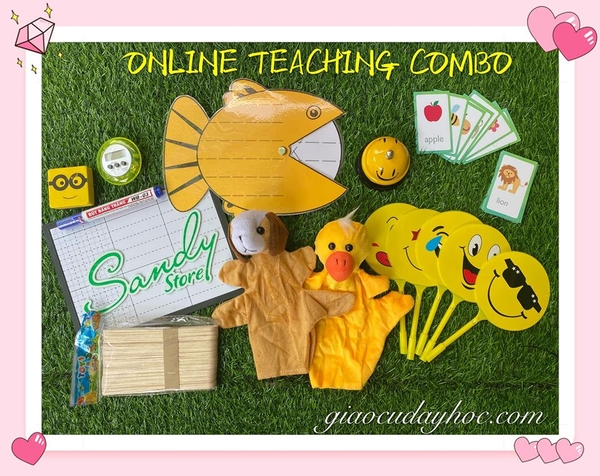 online-teaching-combo