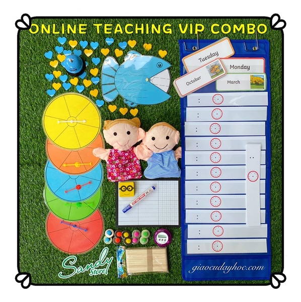 online-teaching-vip-combo