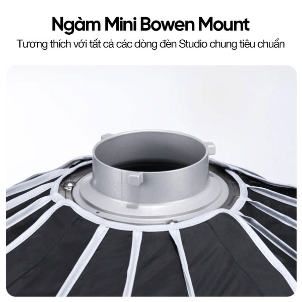 Softbox tháo lắp nhanh Ulanzi Fold DS60 60cm ngàm Mini Bowen chính hãng Grid L054 Parabolic