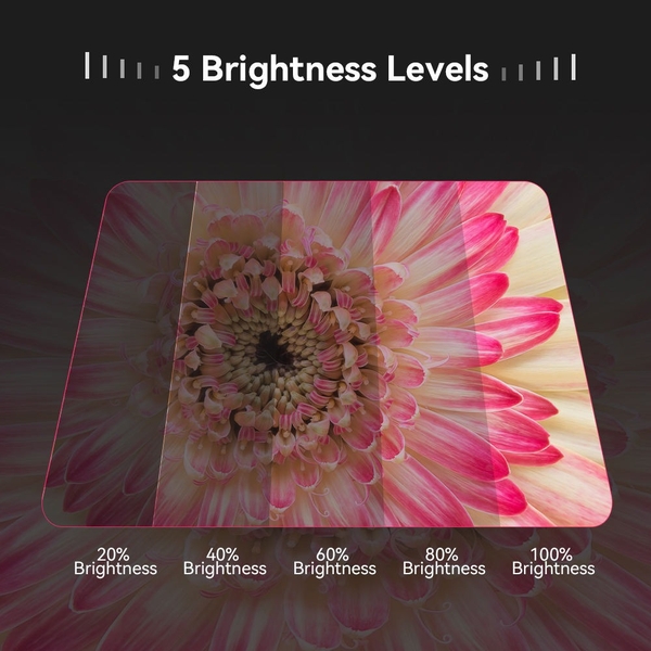 Đèn Ringlight chụp Macro Apexel FL26 LensLight Photography Pocket chính hãng