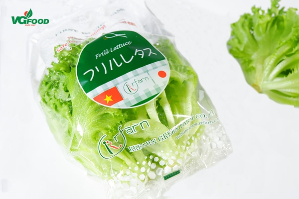 Rau xà lách Frill công nghệ Nhật Bản 100g