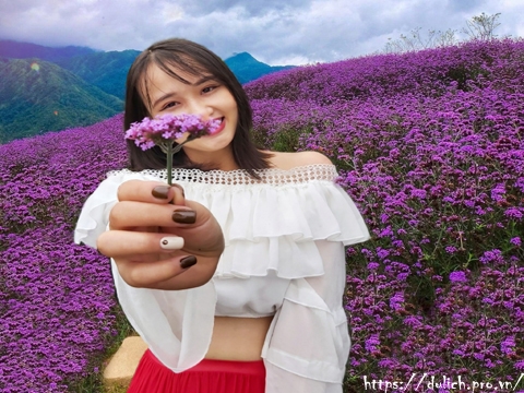 Kinh Nghiệm Đi Tour Du Lịch SaPa Fansipan Giá Rẻ 2022