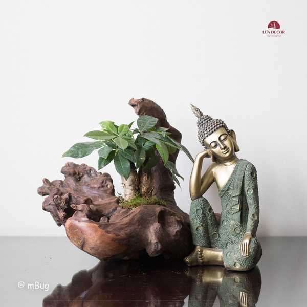 Tiểu Cảnh Thiền MN0155