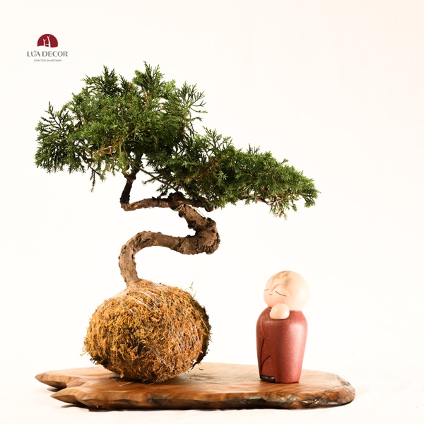 TIỂU CẢNH MN0527