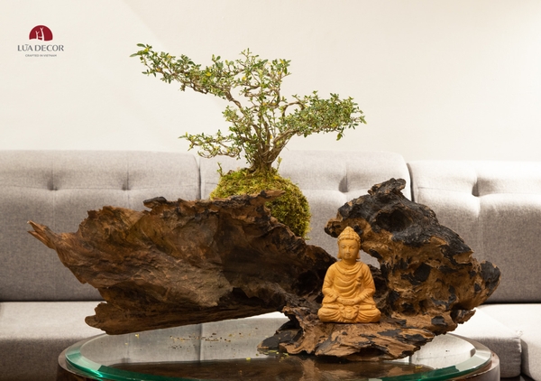 TIỂU CẢNH MN0261