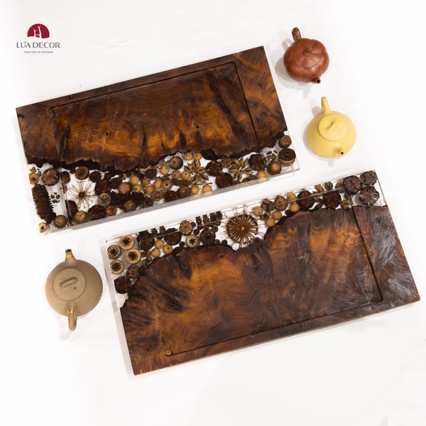 KHAY LŨA EPOXY TR0101