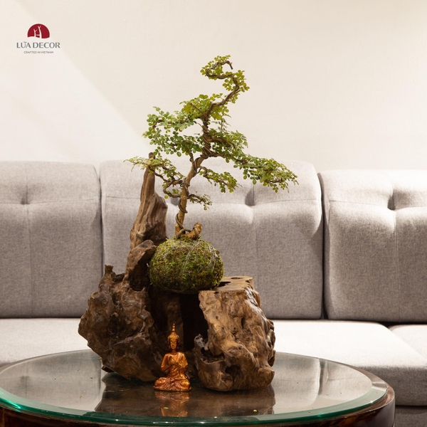 TIỂU CẢNH MN0426