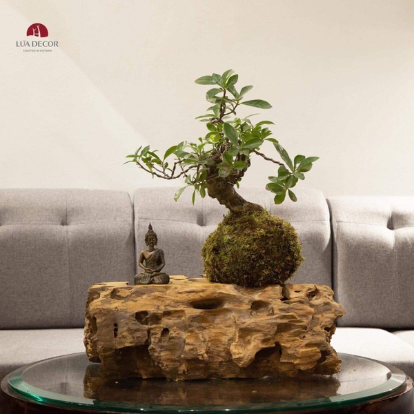 TIỂU CẢNH MN0257