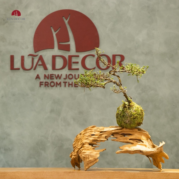 TIỂU CẢNH MN0254