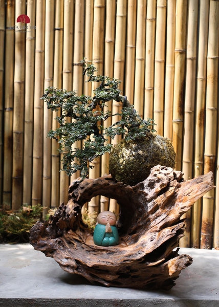 TIỂU CẢNH MN0469