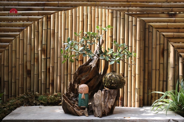 TIỂU CẢNH MN0466