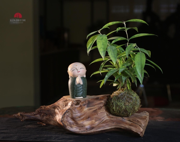 TIỂU CẢNH MN0481
