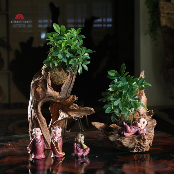 TIỂU CẢNH MN0489