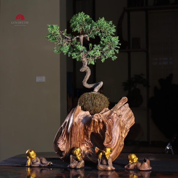 TIỂU CẢNH MN0485