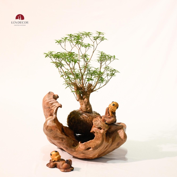 TIỂU CẢNH MN0492