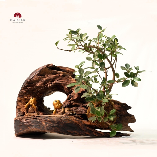 TIỂU CẢNH MN0493