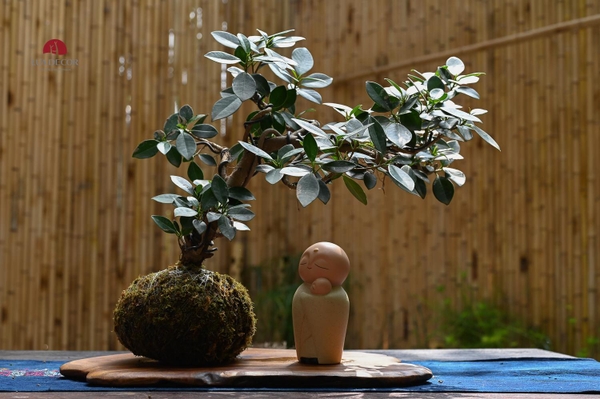 TIỂU CẢNH MN0503