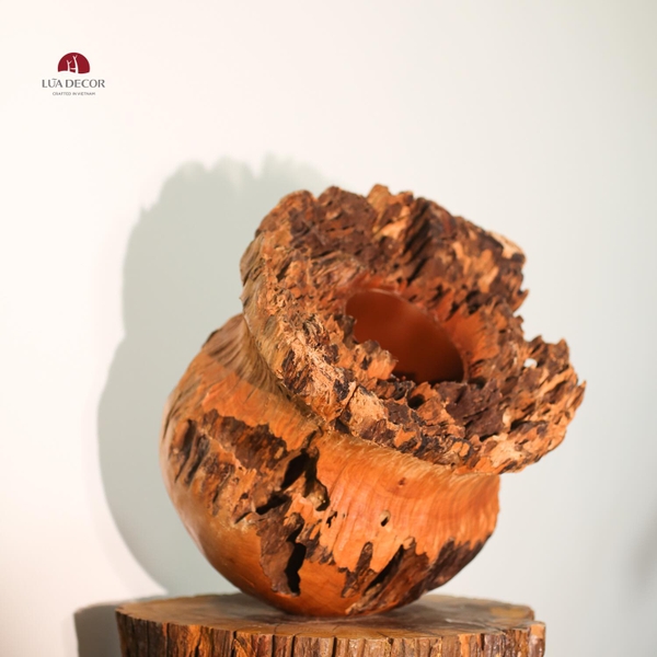 BÌNH LŨA 2 ĐÁY VA0363