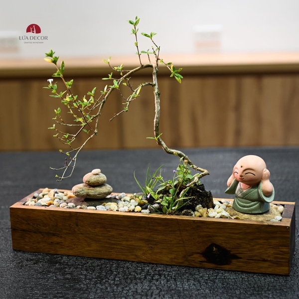 TIỂU CẢNH THIỀN MN0516