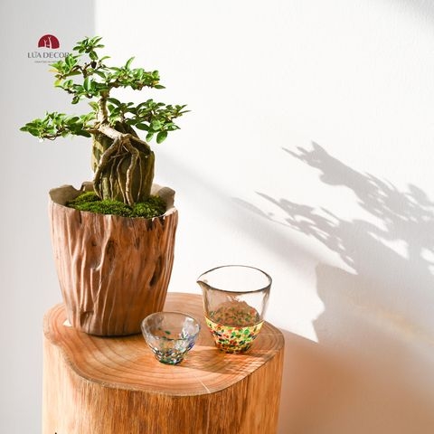 TIỂU CẢNH THIỀN MN0514