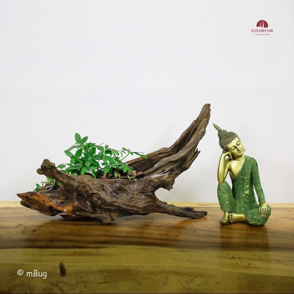 Tiểu Cảnh Thiền MN0132