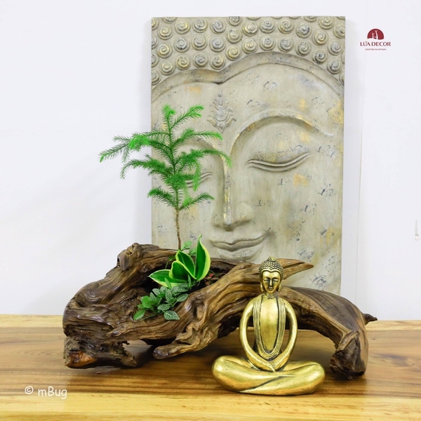 Tiểu Cảnh Thiền MN0126