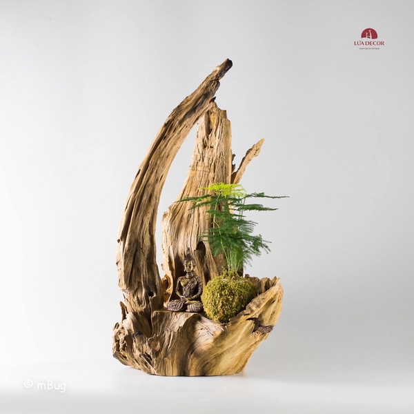 Tiểu Cảnh Thiền MN0195