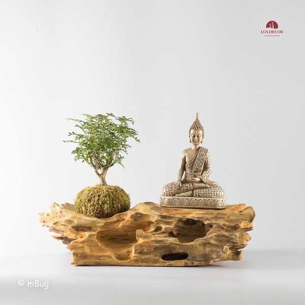 Tiểu Cảnh Thiền MN0193