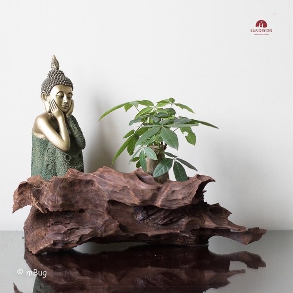 Tiểu Cảnh Thiền MN0150