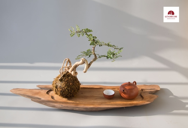 Khay lũa Ngọc Am TR0403