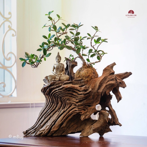 Tiểu Cảnh Thiền MN0203
