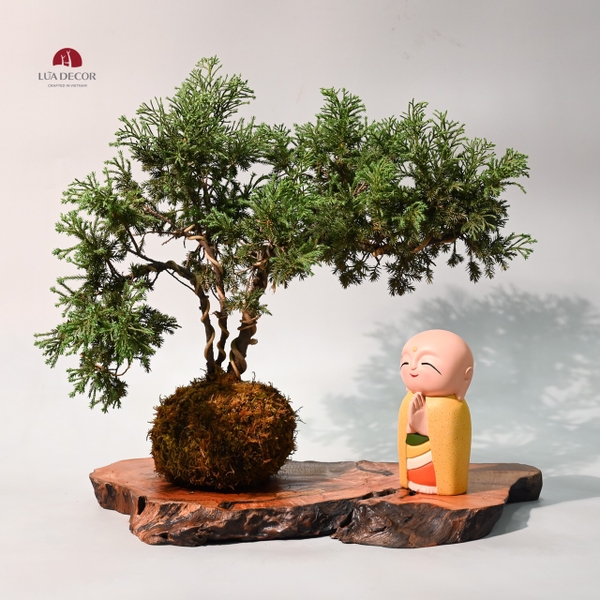 TIỂU CẢNH MN0745