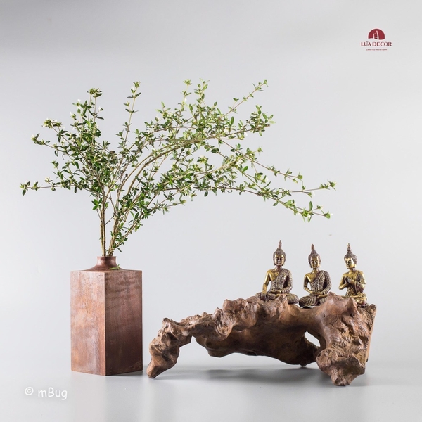 Tiểu Cảnh Thiền MN0168