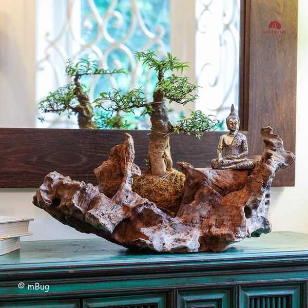 Tiểu Cảnh Thiền MN0204