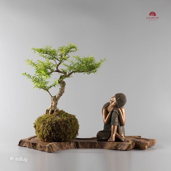 Tiểu Cảnh Thiền MN0108