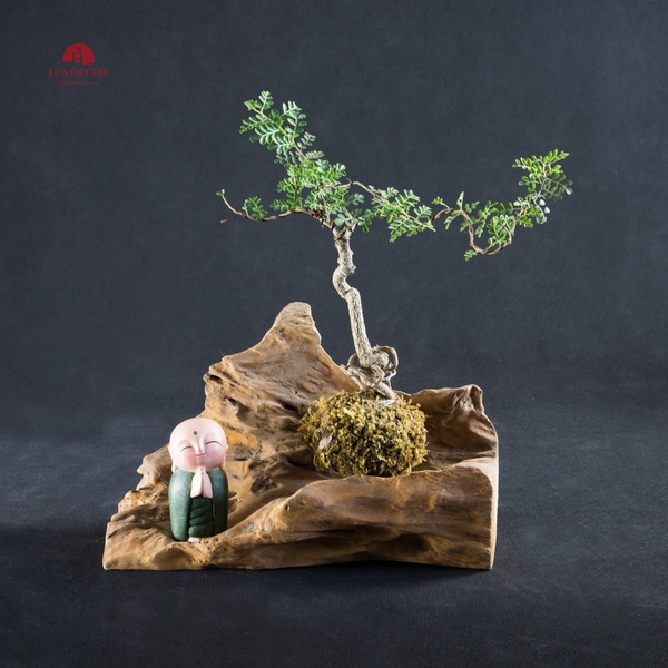 TIỂU CẢNH THIỀN MN0096