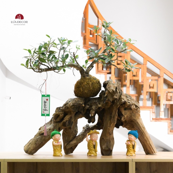 TIỂU CẢNH THIỀN MN0786