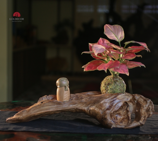 TIỂU CẢNH MN0480