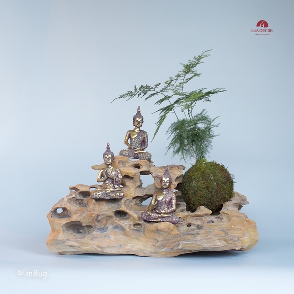 Tiểu Cảnh Thiền MN0178
