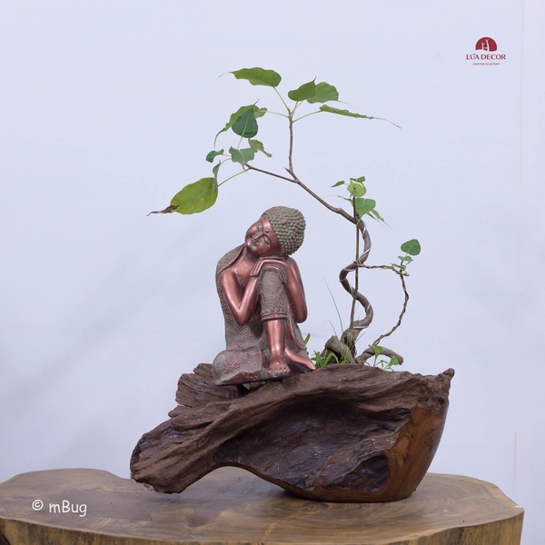 Tiểu Cảnh Thiền MN0147