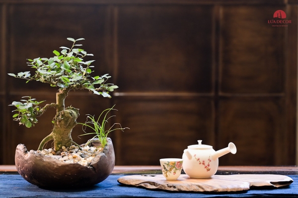 TIỂU CẢNH MN0710