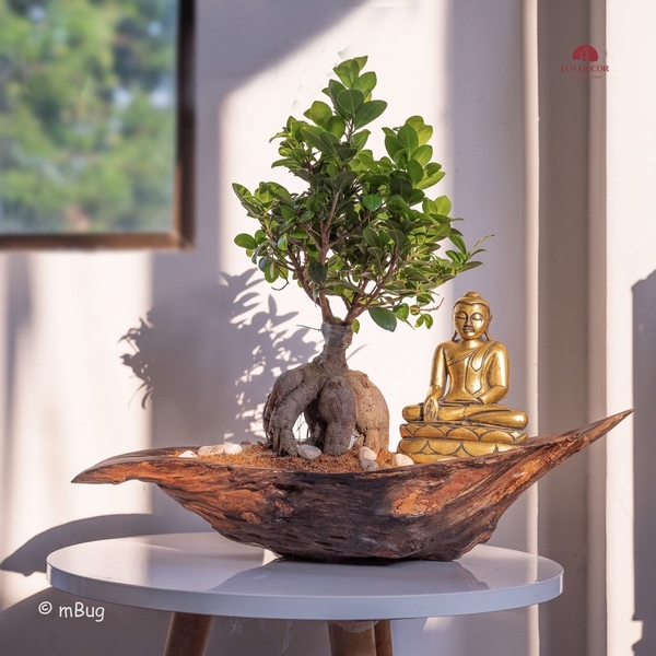 Tiểu Cảnh Thiền MN0184