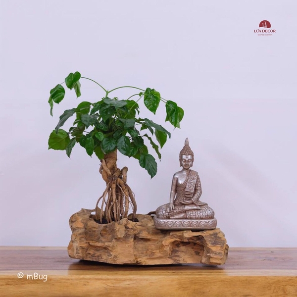 Tiểu Cảnh Thiền MN0169