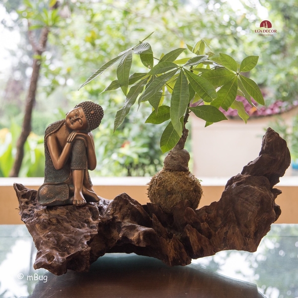 Tiểu Cảnh Thiền MN0124