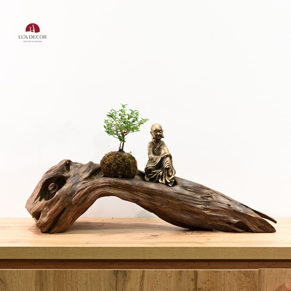 TIỂU CẢNH MN0484