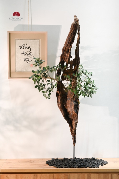 TIỂU CẢNH MN0543