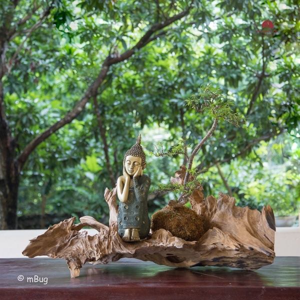 Tiểu Cảnh Thiền MN0121