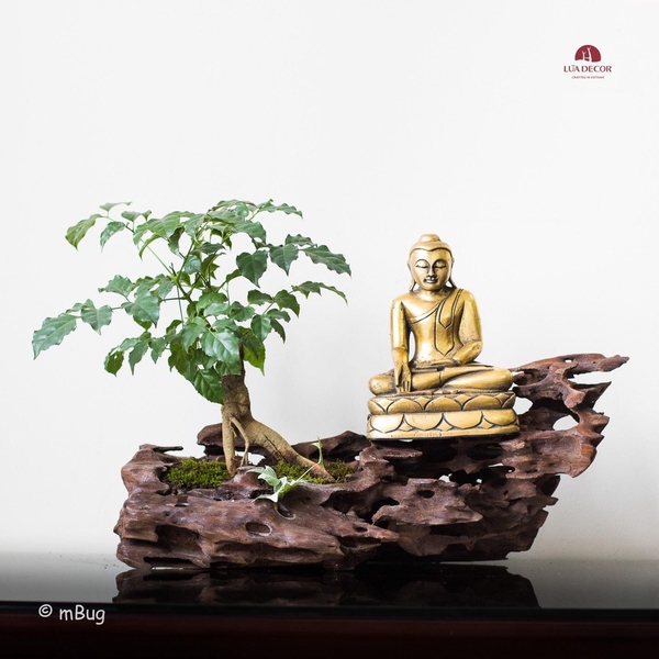 Tiểu Cảnh Thiền MN0152