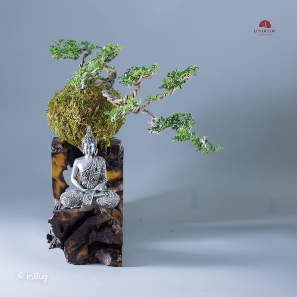 Tiểu Cảnh Thiền MN0177