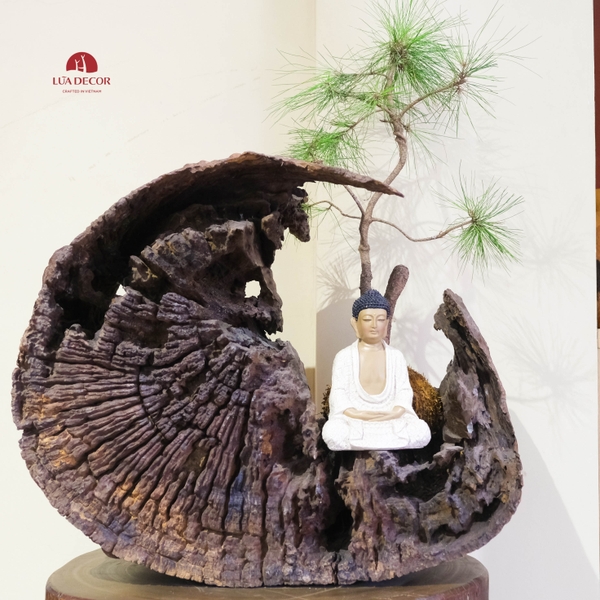TIỂU CẢNH THIỀN MN0788